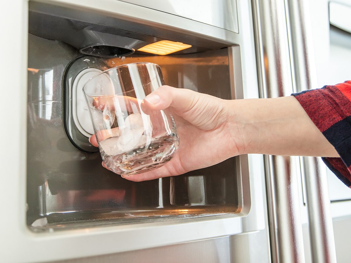How to clean an icemaker, according to Charles the Butler