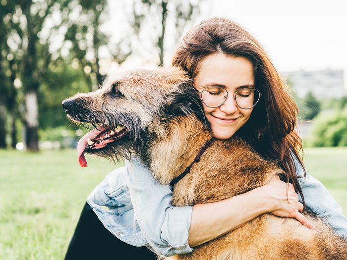 Things you can do to help your dog live longer