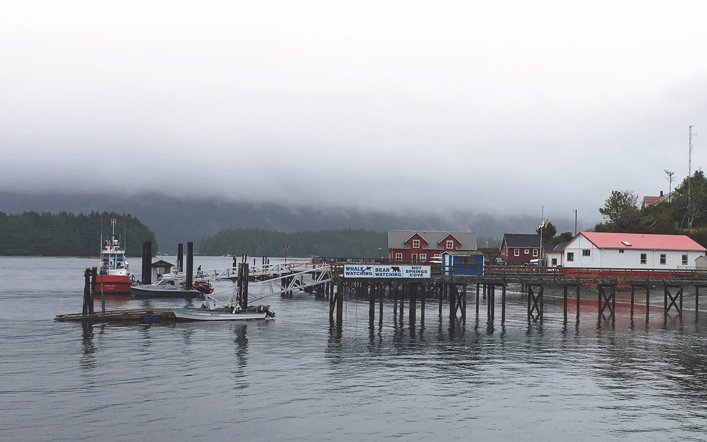 A shot of the Tofino harbour