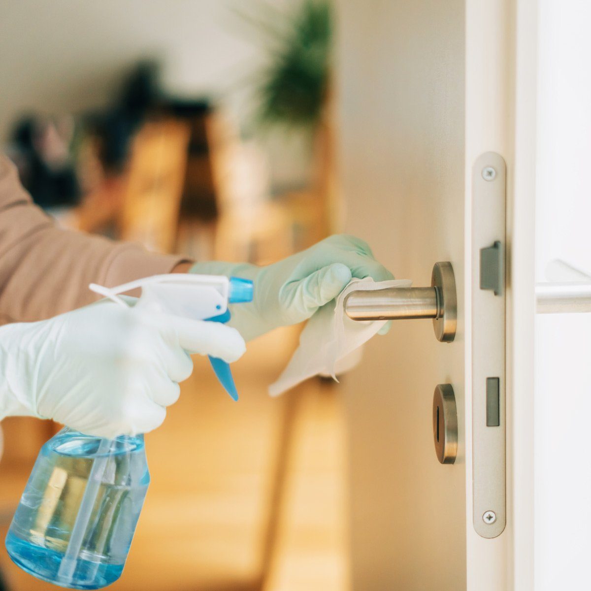 Woman cleaning a door handle with a disinfection spray and disposable wipe