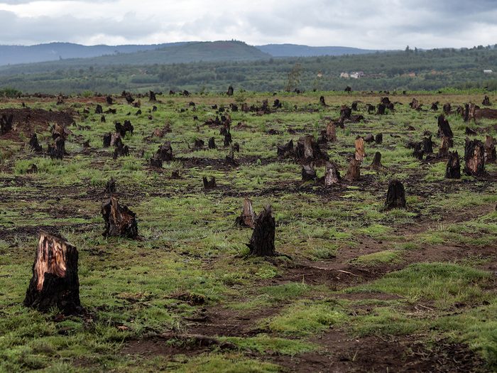 Deforestation in Madagascar