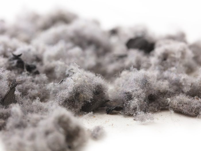 dryer lint uses
