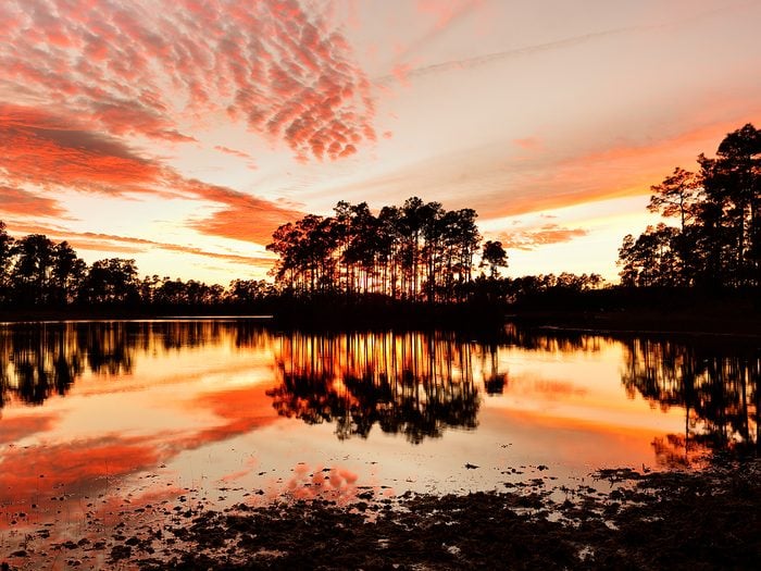 Sunset at Florida Everglades - threatened environment