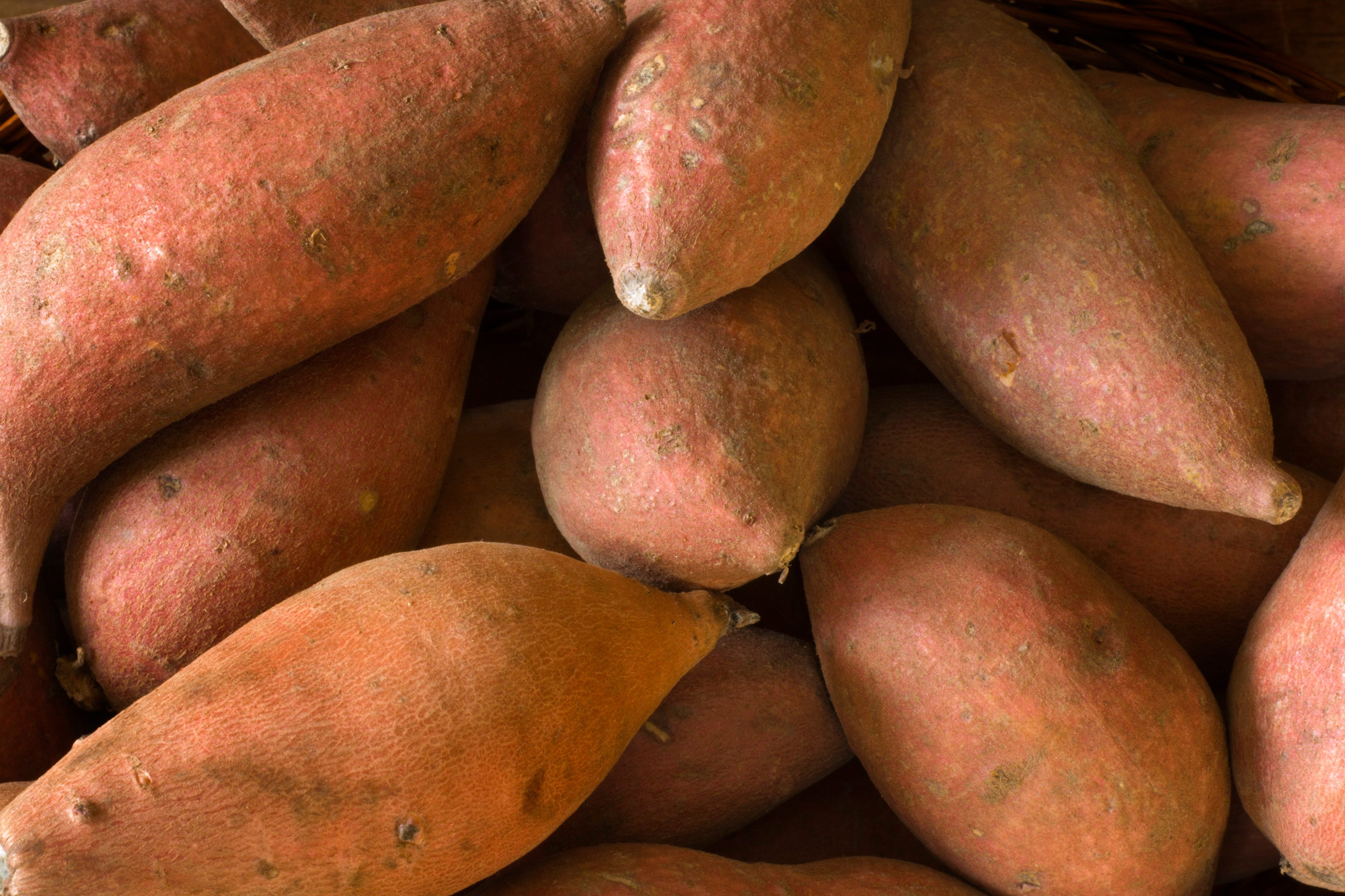 Raw Whole Sweet Potatoes Yams, Fresh Healthy Root Vegetable