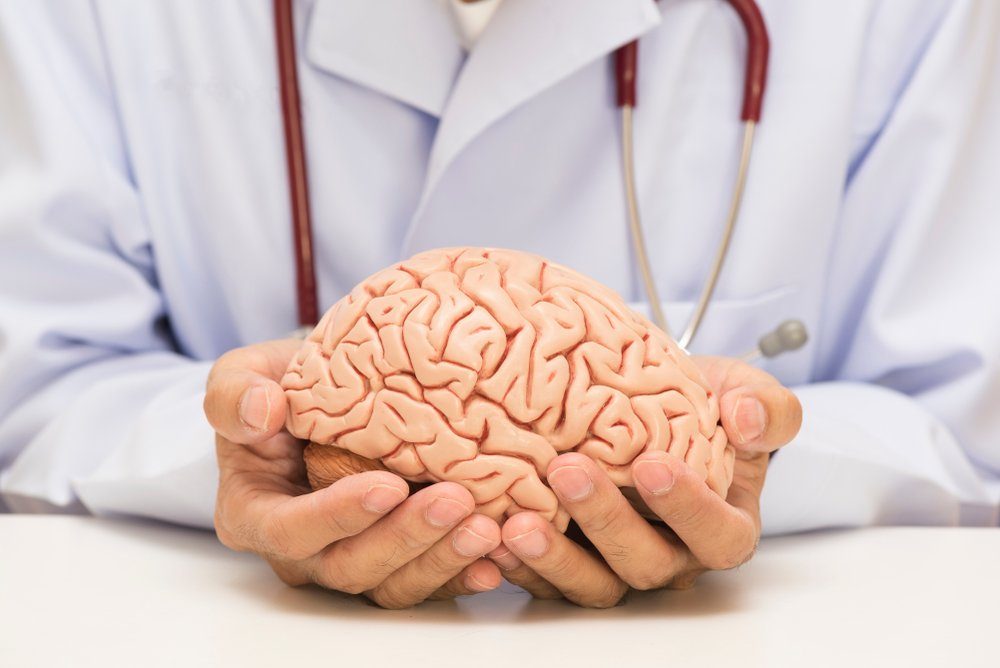 Doctor holding human brain model