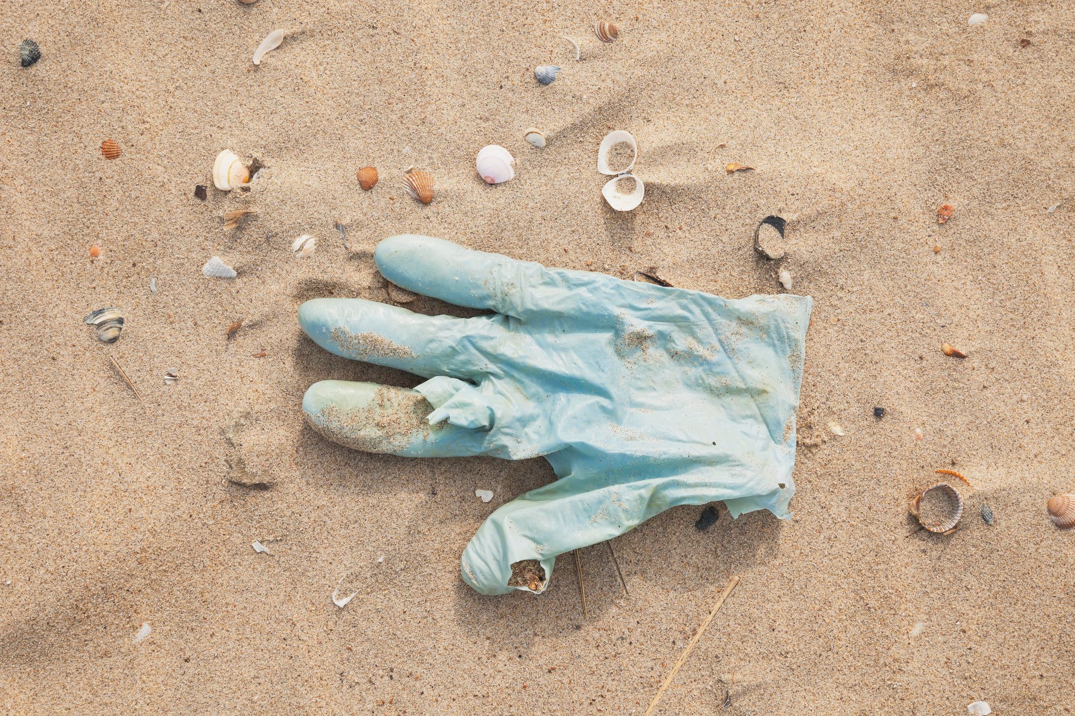 Belgium, rubber glove lying on sandy beach at North Sea coast