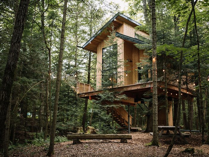 Glamping In Canada - The Baltic Treehouse