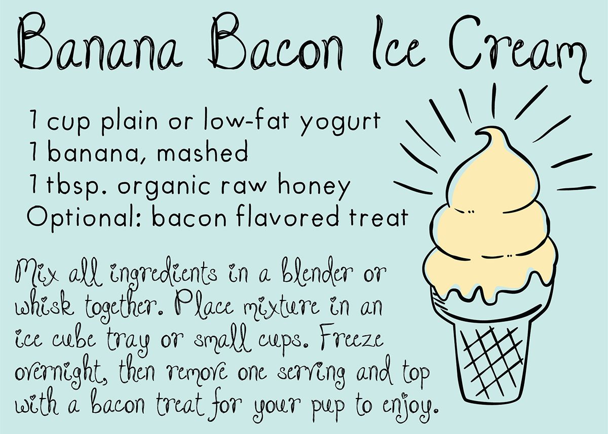 Homemade dog food recipes - banana bacon ice cream for dogs
