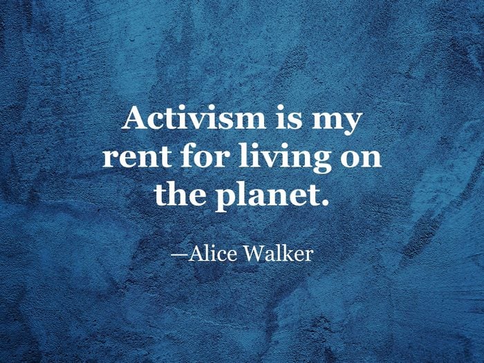 Alice Walker quote