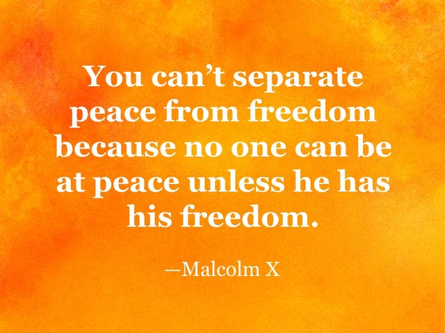 Malcolm X quote