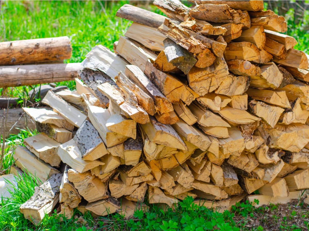 Firewood stacked in a pile