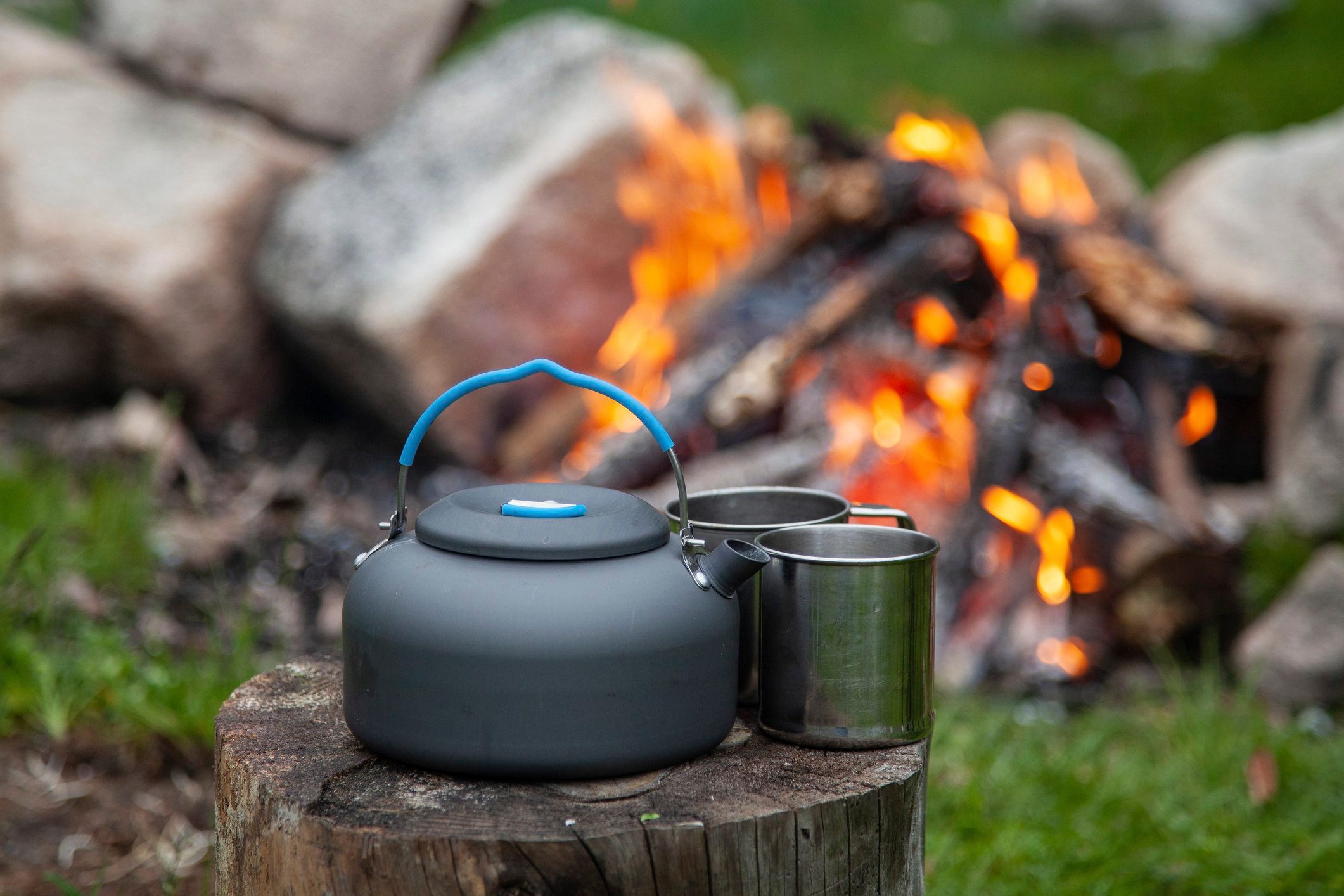 Close-up of kettle and two mugs of hot tea on tree stump at campsite