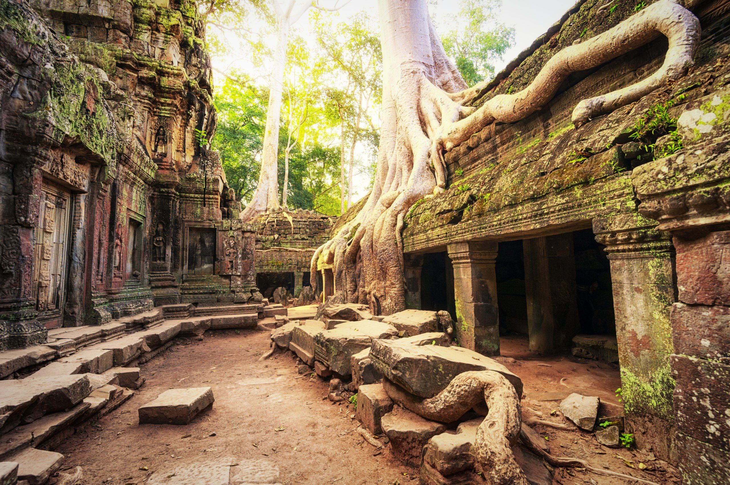 Angkor Wat Cambodia. Ta Prohm Khmer temple