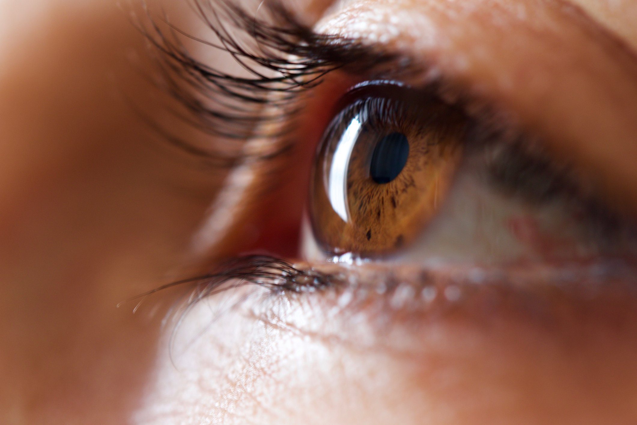 close up of human eye