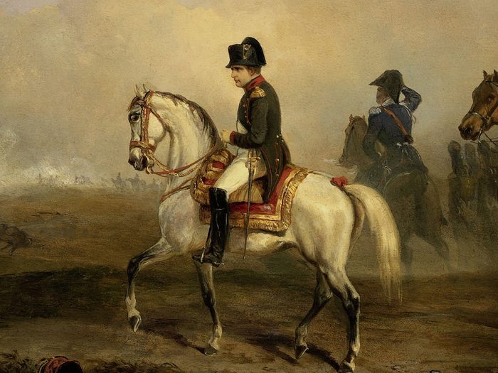 History questions - Napoleon Bonaparte painting