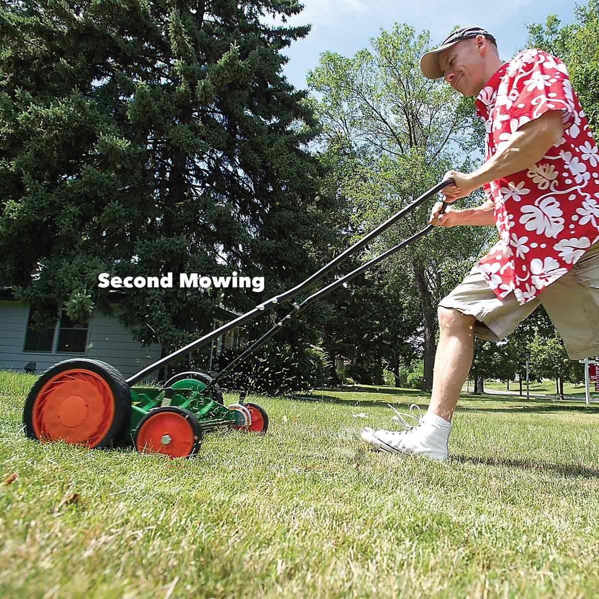 Man doing lawn maintenance