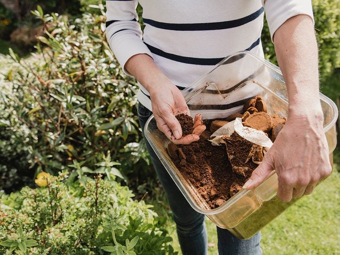 Uses for coffee filters - Unrecognisable woman in casual clothing holding a box of used coffee ground to use as compost in her garden.