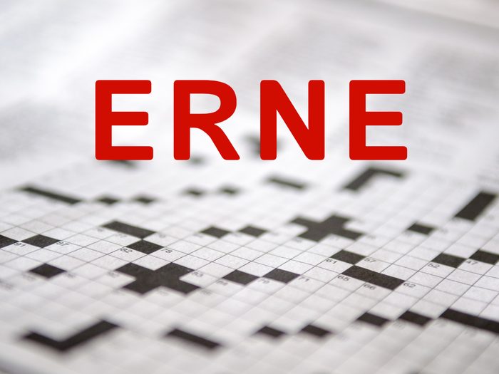 Crossword puzzle words - Erne