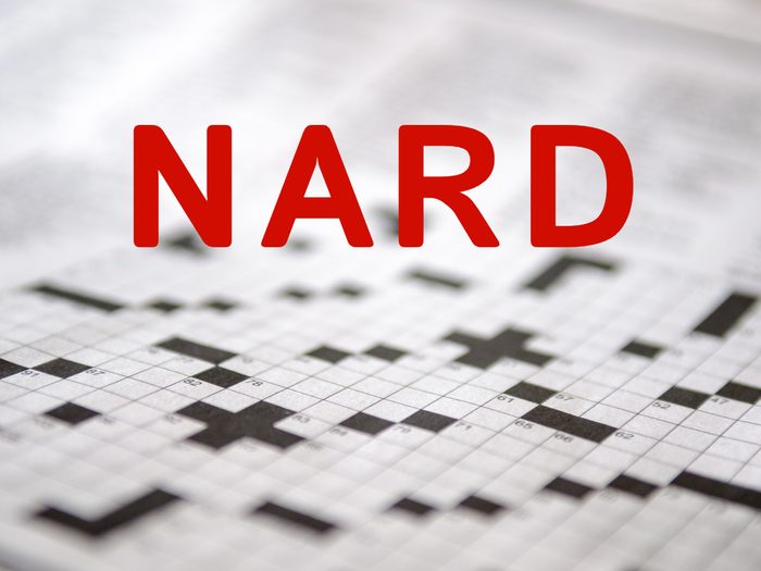 Crossword puzzle answers - Nard
