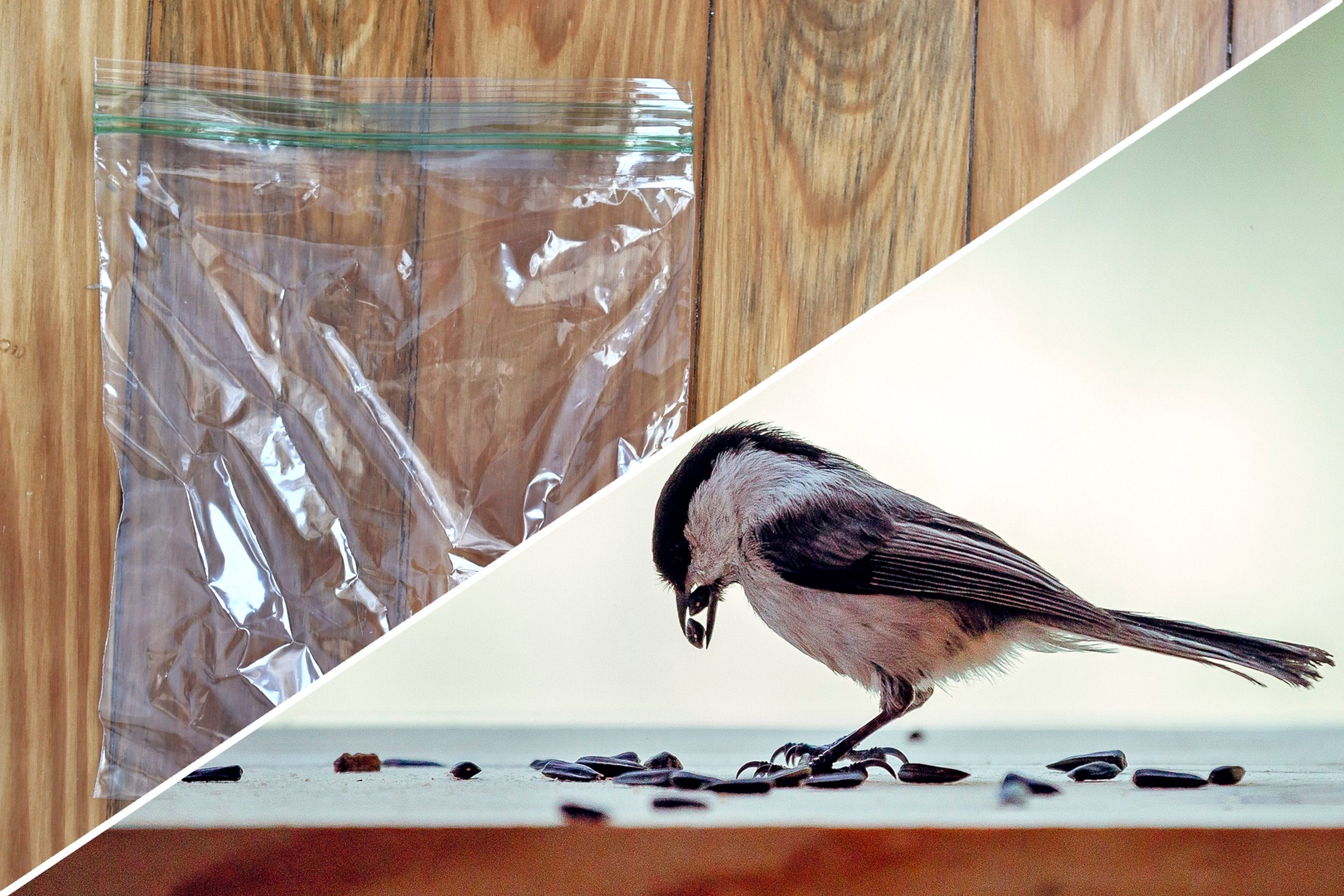 bird seed plastic bag uses
