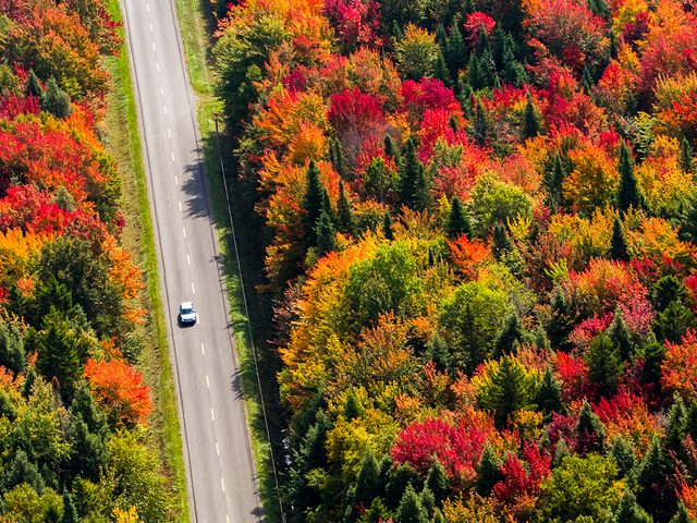 Fall 2021 Canada - Autumn leaves on a Quebec road trip