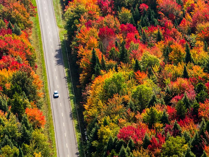 Fall 2021 Canada - Autumn leaves on a Quebec road trip