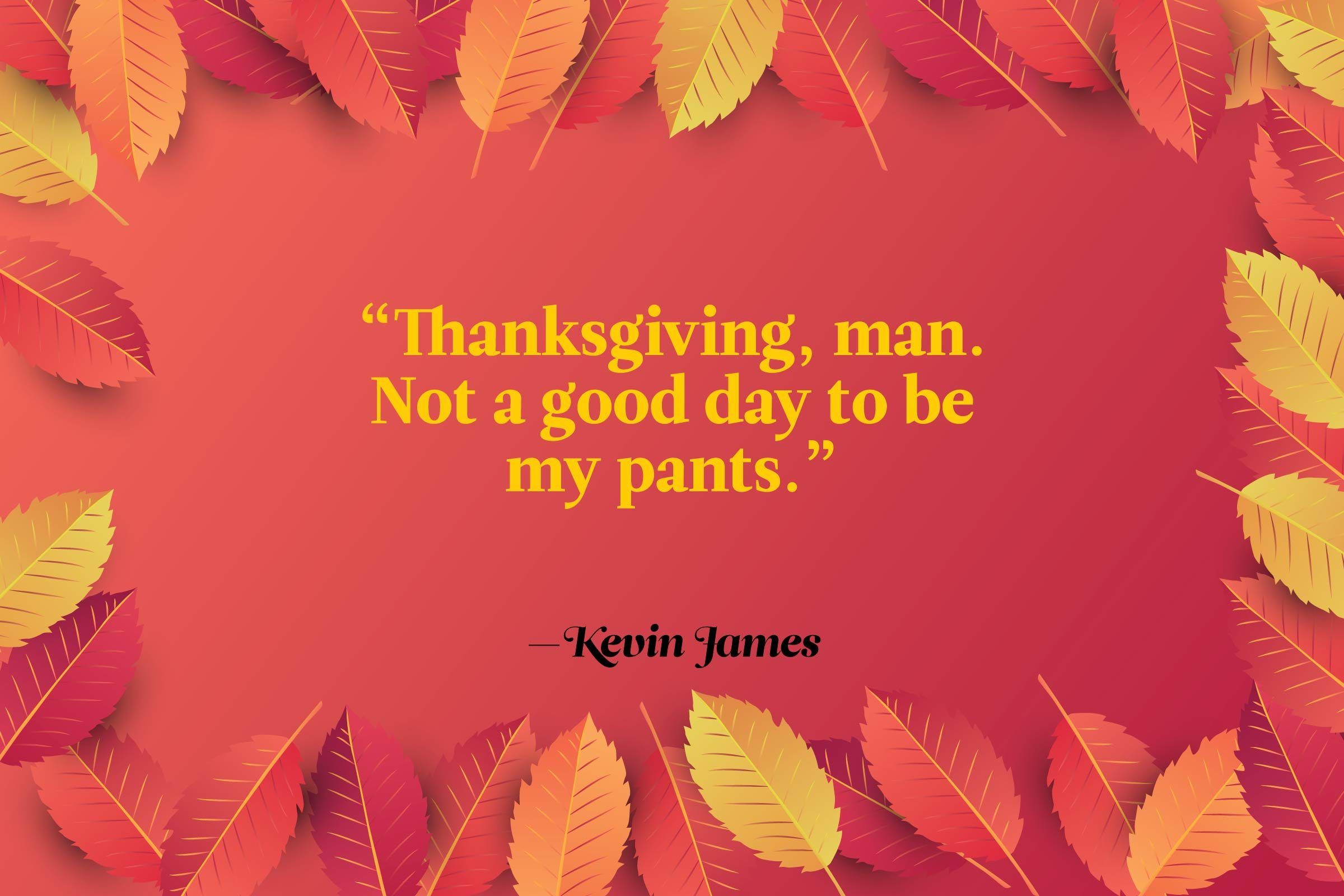 Funny Thanksgiving Quotes - Kevin James