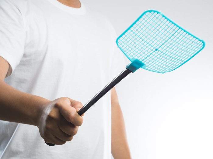 hand holding fly or insect swatter on white background