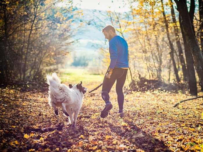 Brain exercises - happy dog and man playing in autumn forest