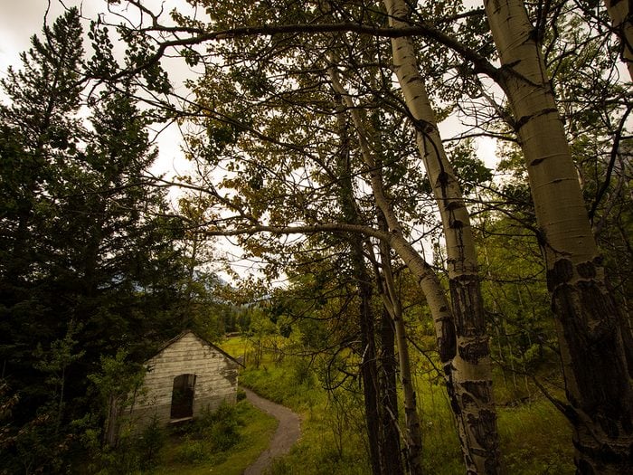Canadian legends - Bankhead Alberta ghost town