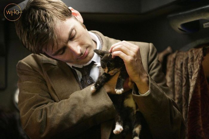 Doctor Who - Tenth Doctor and Kitten