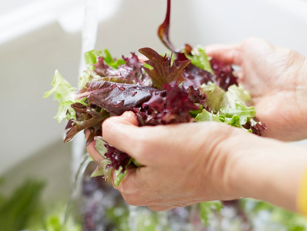 How to wash salad greens - hands holding lettuce
