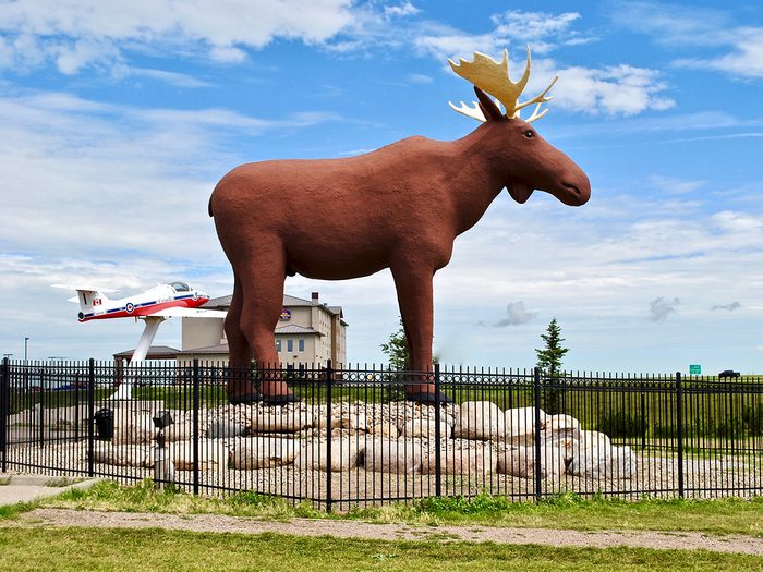 Printable crossword puzzle - roadside attraction biggest moose in canada