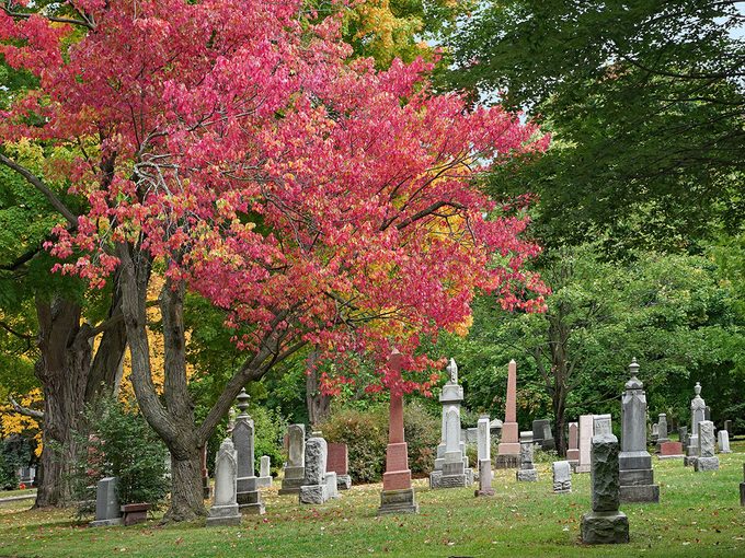 Mount Pleasant Cemetery in Toronto