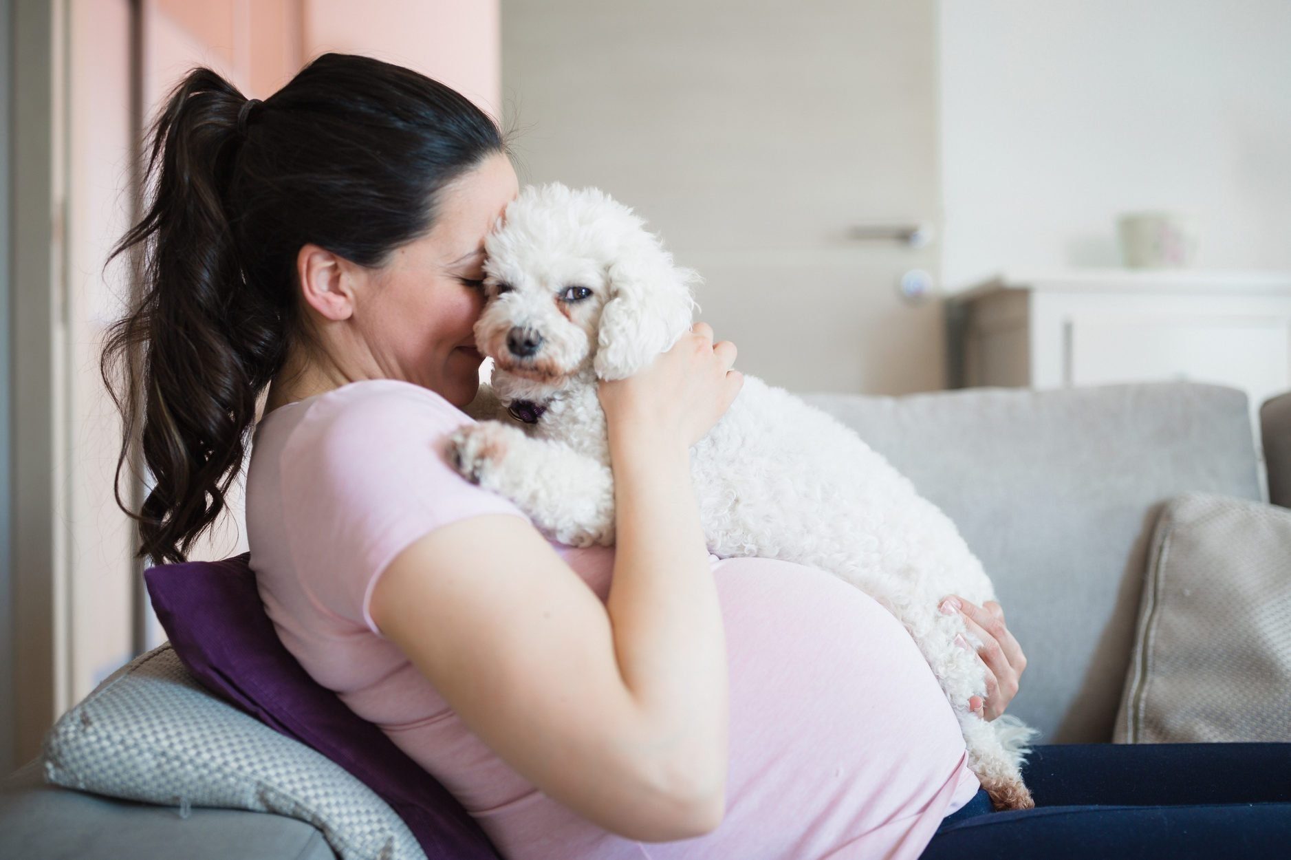 Most affectionate dog breeds - Pregnant woman having fun with her dog