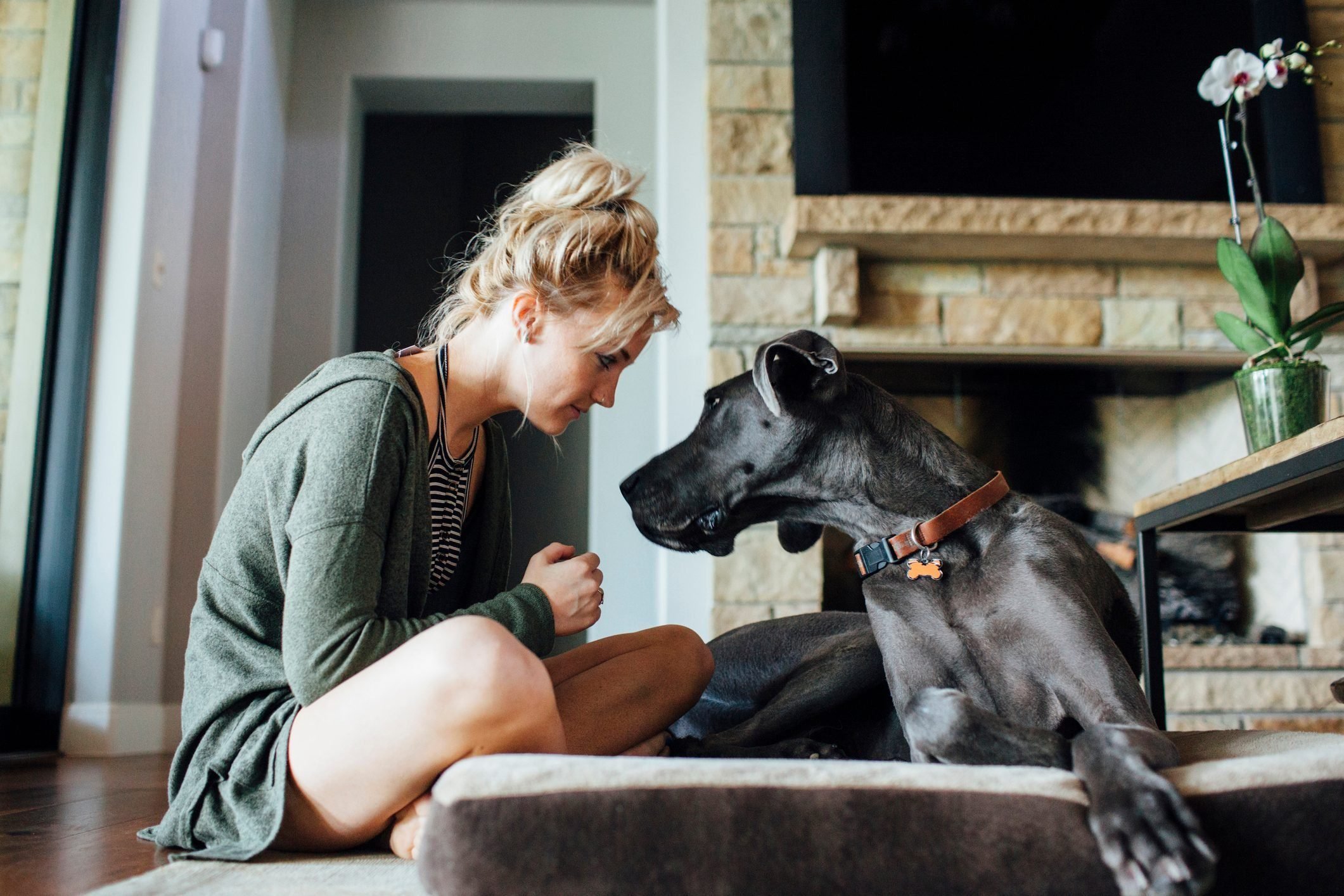 Woman looking at Great Dane while sitting at home