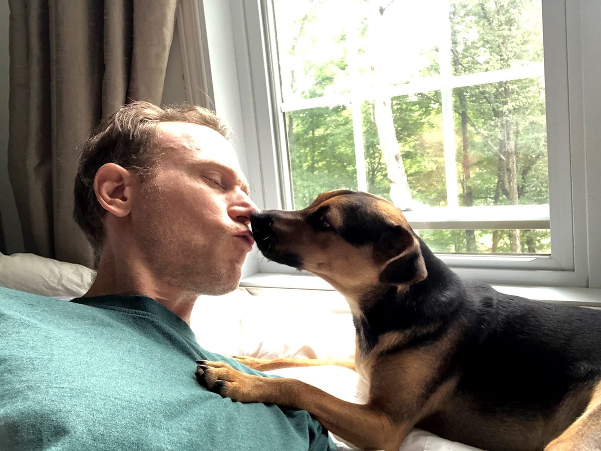 Dog kissing person