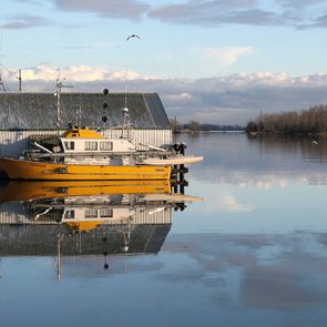 Boat pictures - Yellow boat reflected in water