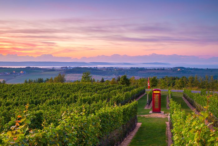 Day trips from Halifax - Annapolis Valley winery