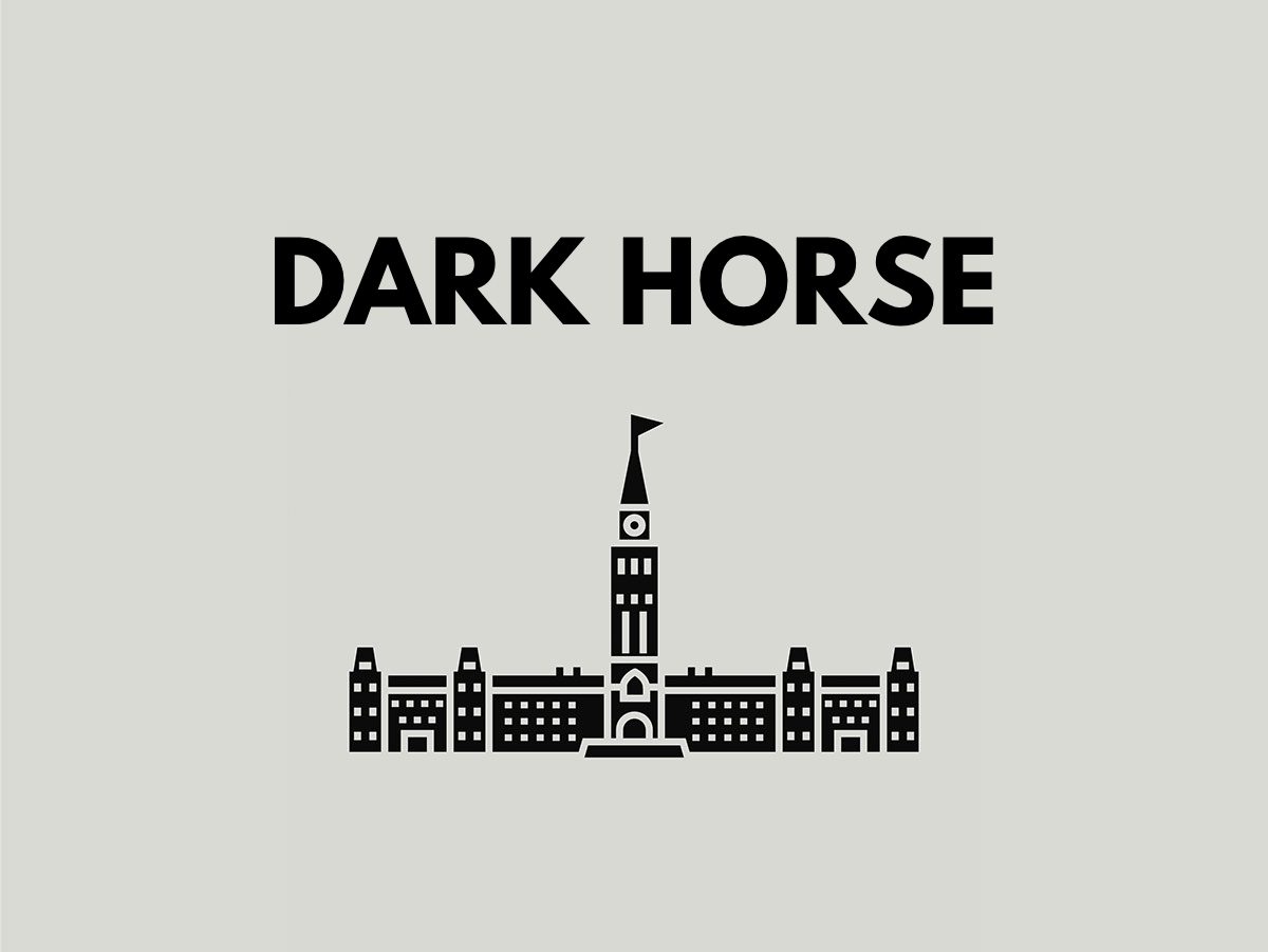 Election terms: Dark horse