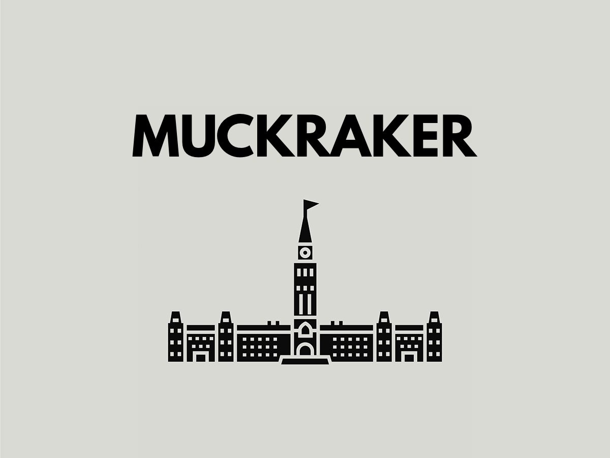 Election terms: muckraker