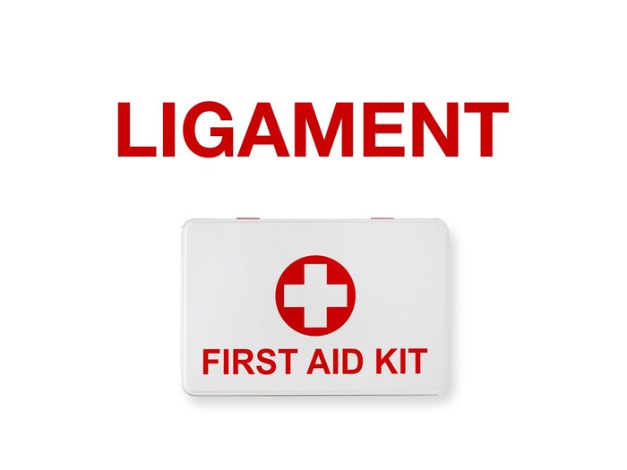 First aid quiz - Ligament