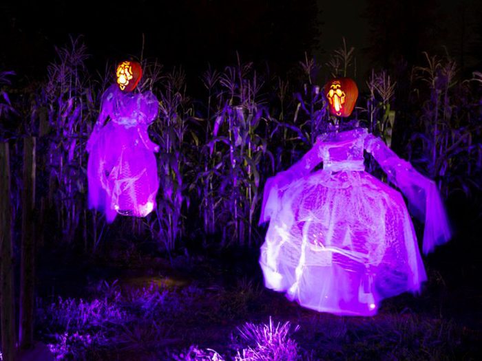 Halloween in Canada - Scary Cornfield Decor