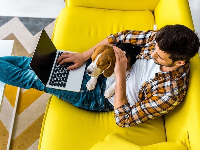 overhead view of man using laptop on sofa with cute dog