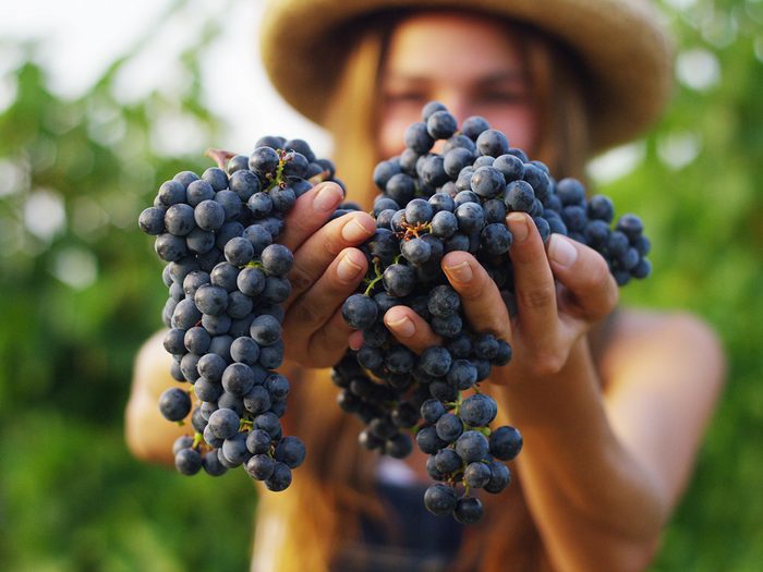 foods that prevent cancer - Woman holding grapes in vineyard