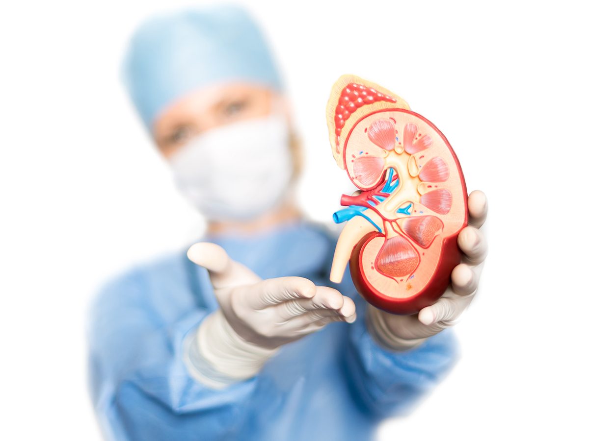Kidney transplant surgeon