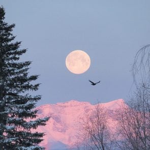 Photos of the moon - full moon over Rockies