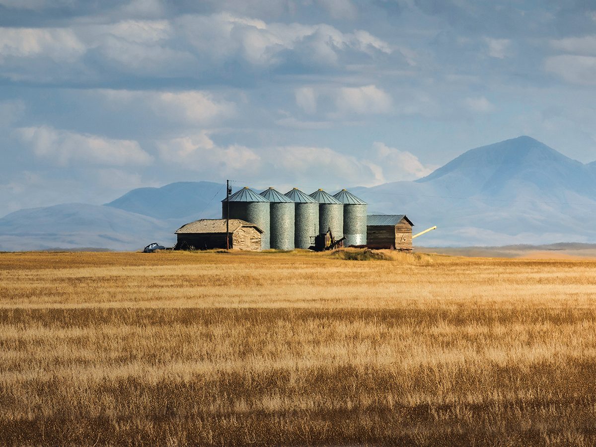 Farming in Southern Alberta