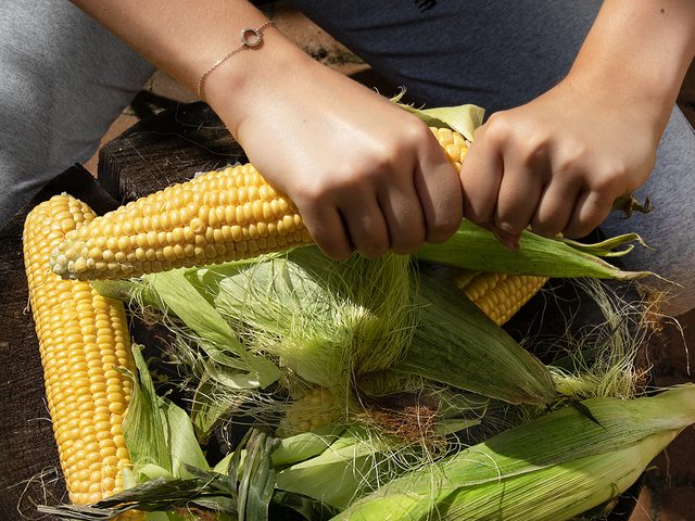 ear of corn in female hands
