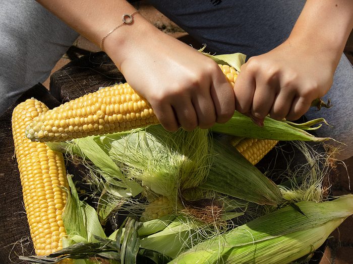ear of corn in female hands